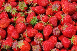 strawberries-528791__180